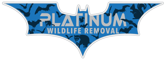 Animal Removal Ripley County